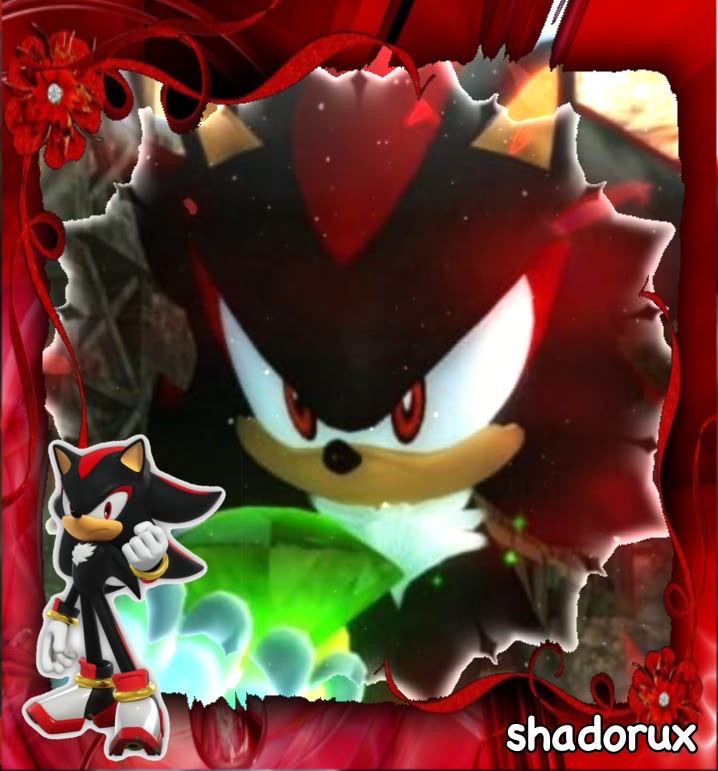 Shadow the Hedgehog meme