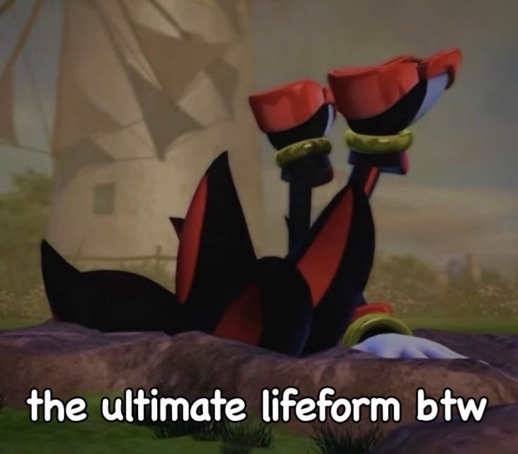 Shadow the Hedgehog meme